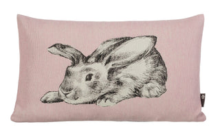 Pichlers 30x50 cm große Kissenhülle Freddy, ein rosa rechteckiges Kissen mit einer schicken schwarz-weißen Kaninchenskizze, verleiht Ihrem Raum einen Hauch von Osterdesign. Aus weicher Baumwolle gefertigt, verleiht es jedem Raum ein verspieltes und doch elegantes Flair.