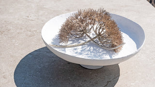 Ein Arrangement aus getrockneten Disteln sitzt elegant in einer weißen Keramikschale auf einer strukturierten Oberfläche und wirft zarte Schatten, die an eine kunstvolle Präsentation auf dem 4Seasons Tisch Prado Keramik/Edelstahl erinnern.