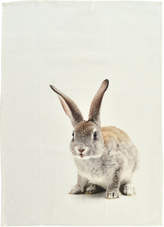 Sander Geschirrtuch One Rabbit 50x70cm